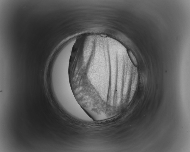 X0000087570676200705251821