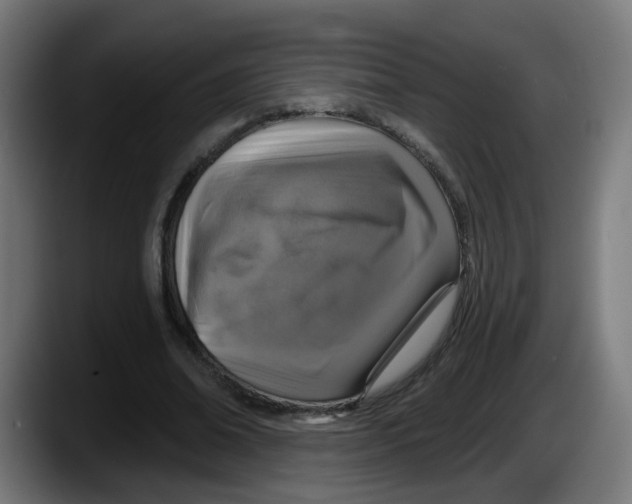 X0000087570678200705251821