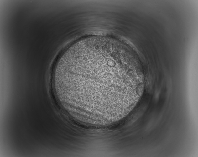 X0000087570679200705251821