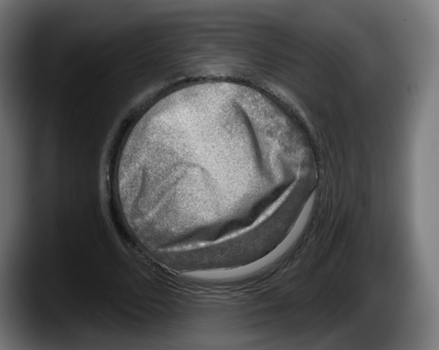 X0000087570680200705251821