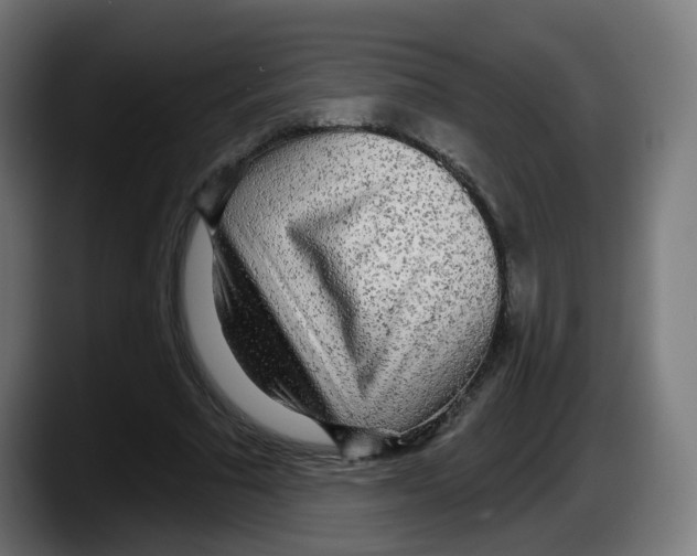 X0000087570681200705251821