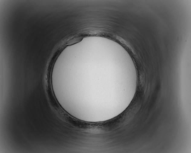 X0000087570682200705251821