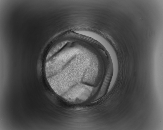 X0000087570684200705251821