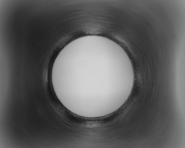 X0000087570686200705251821