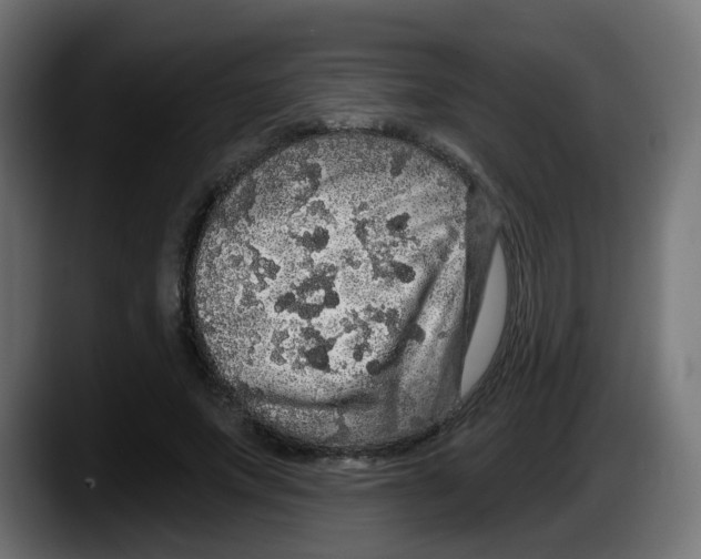 X0000087570687200705251821