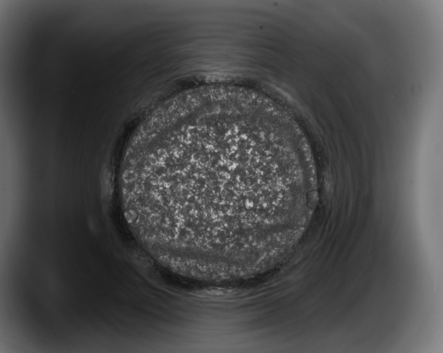 X0000087570691200705251821