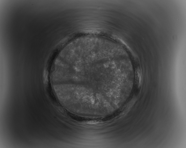 X0000087570692200705251820