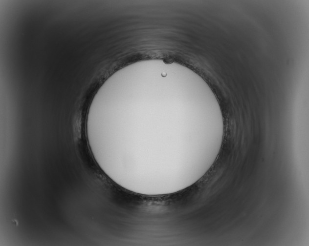 X0000087570694200705251820