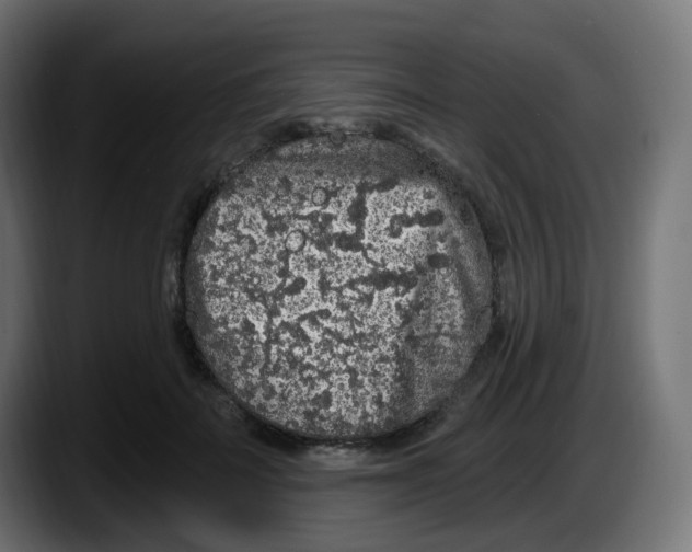 X0000087570699200705251820