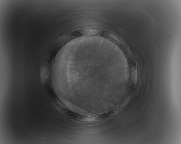 X0000087570701200705251820