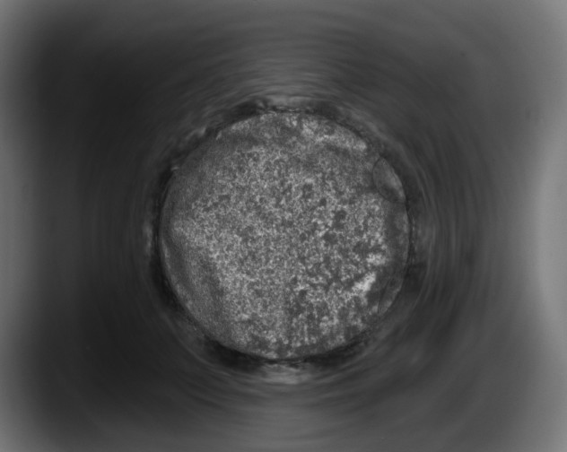 X0000087570703200705251820