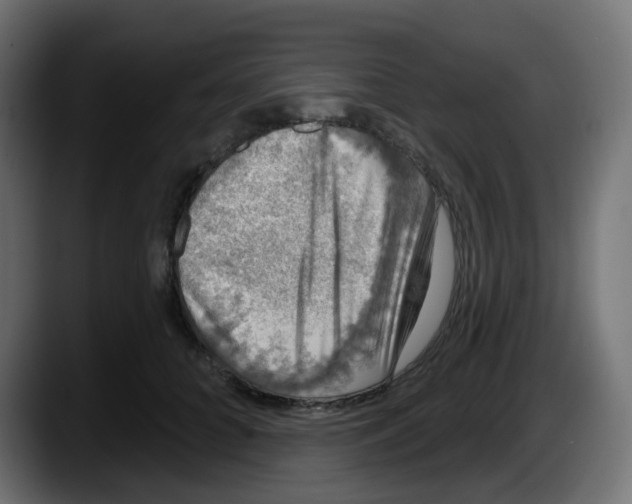 X0000087570704200705251820