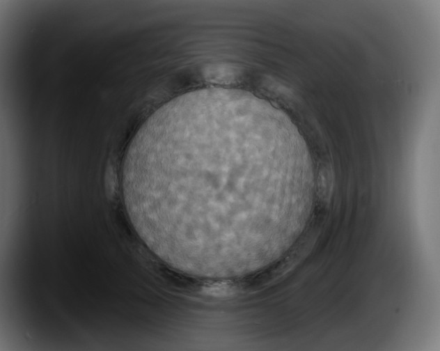 X0000087570705200705251820