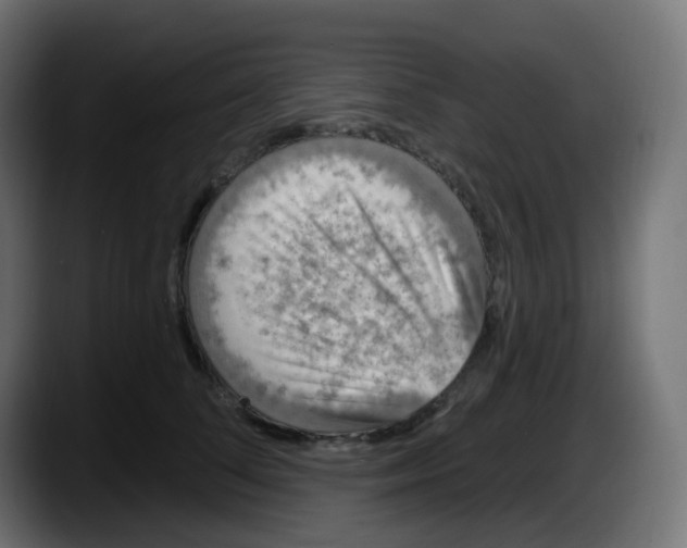 X0000087570708200705251820