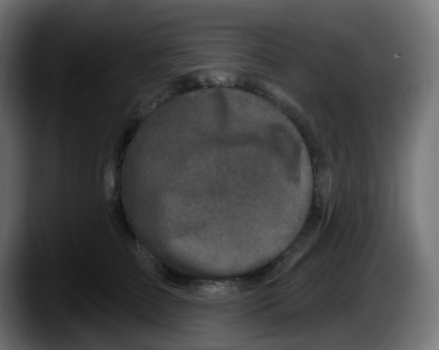 X0000087570709200705251820