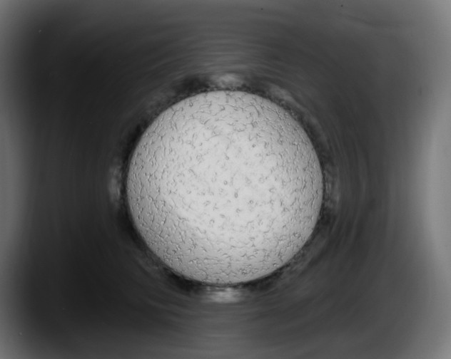 X0000087570710200705251820