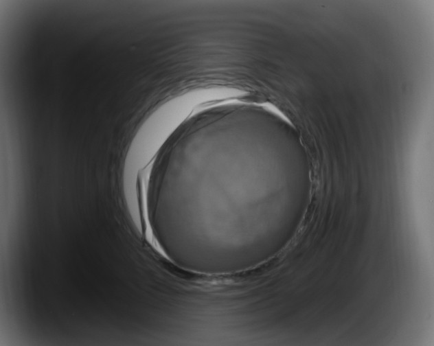 X0000087570712200705251820