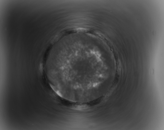 X0000087570716200705251820