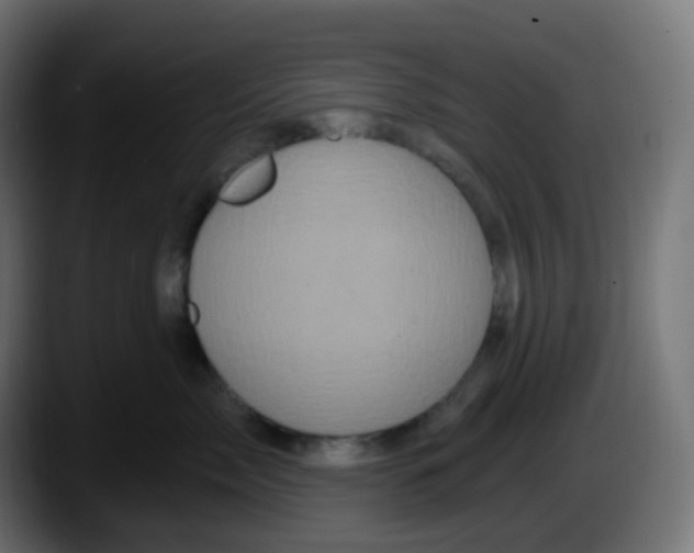 X0000087570717200705251820