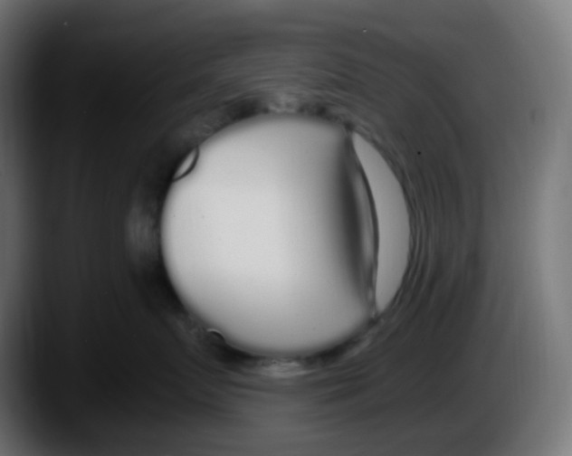 X0000087570719200705251820