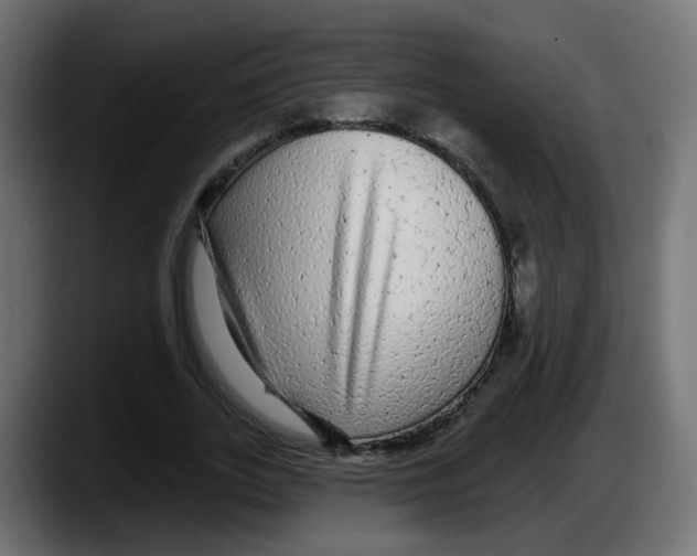 X0000087570727200705251820