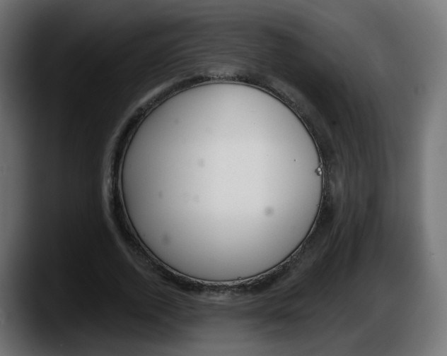 X0000087570728200705251820