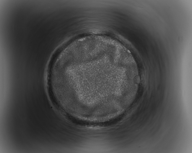 X0000087570730200705251820