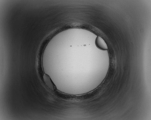 X0000087570732200705251820