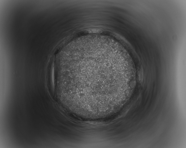 X0000087570733200705251820