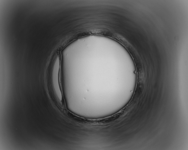 X0000087570734200705251820