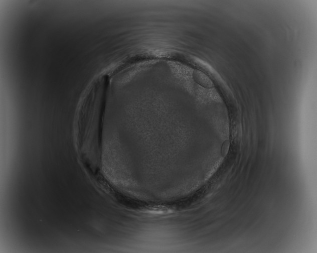 X0000087570736200705251820