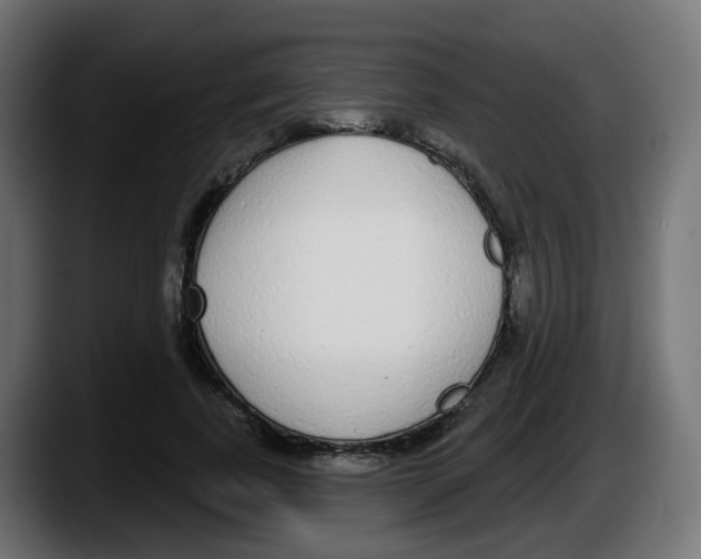 X0000087570739200705251820