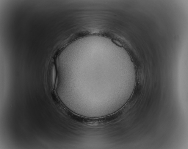 X0000087570740200705251820