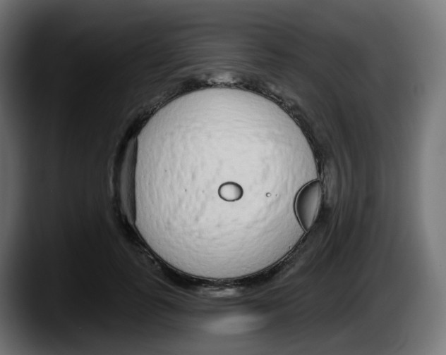 X0000087570747200705251820