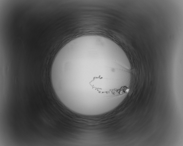 X0000087570748200705251820