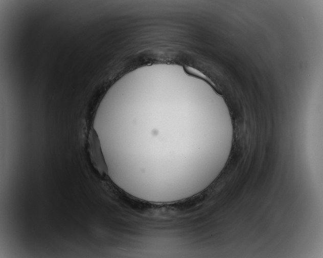 X0000087570752200705251820