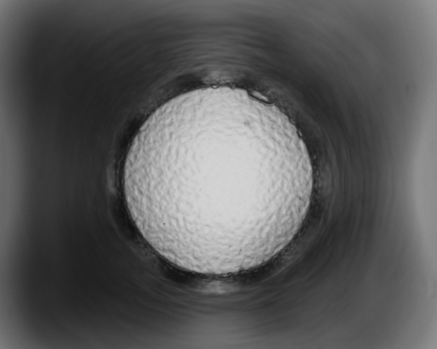 X0000087570755200705251820