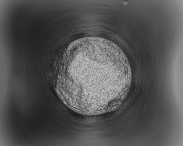 X0000087570757200705251820