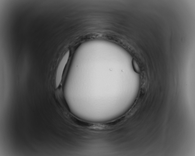 X0000087570758200705251820