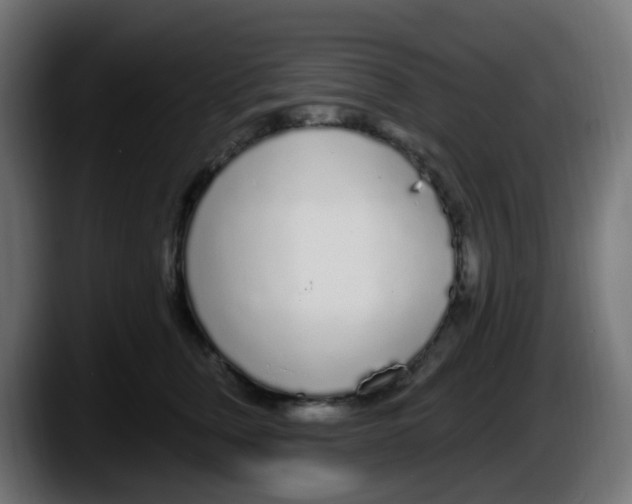 X0000087570759200705251820