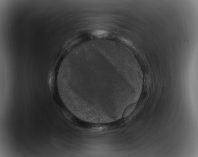 X0000087570760200705251820