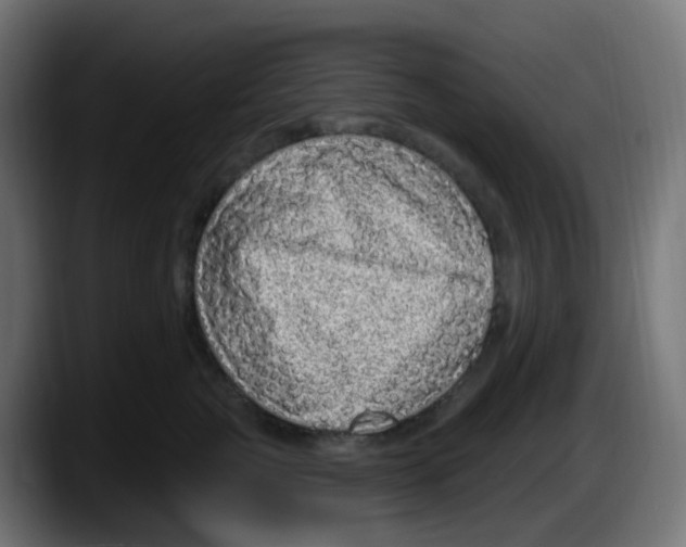 X0000087570761200705251820