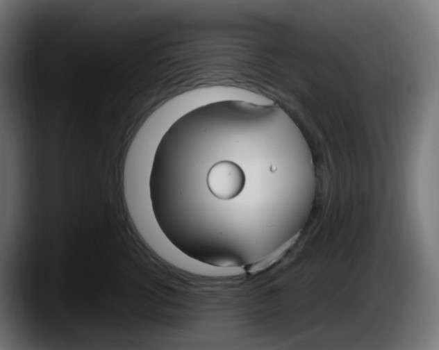 X0000087570762200705251820