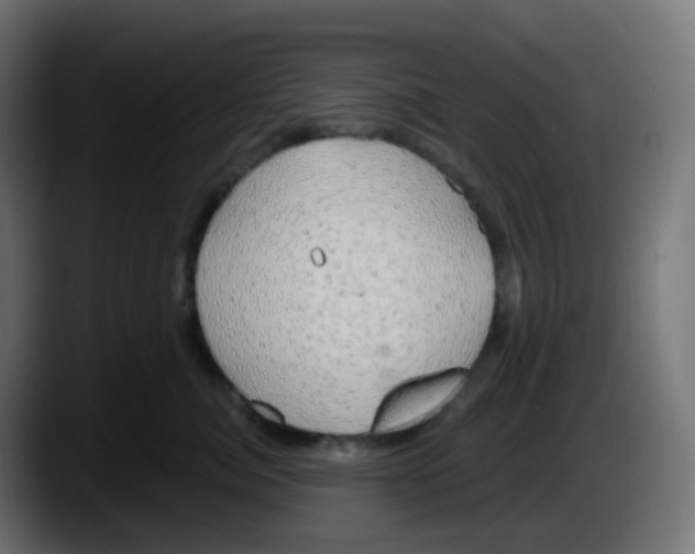 X0000087570764200705251820