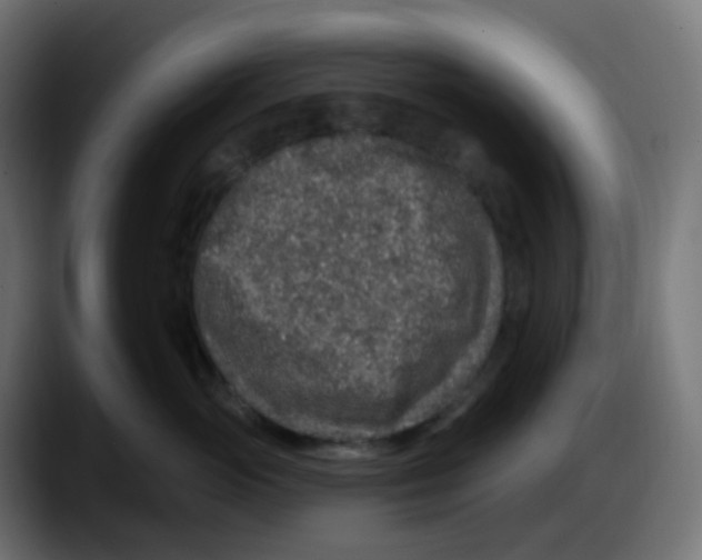 X0000087570765200705251820