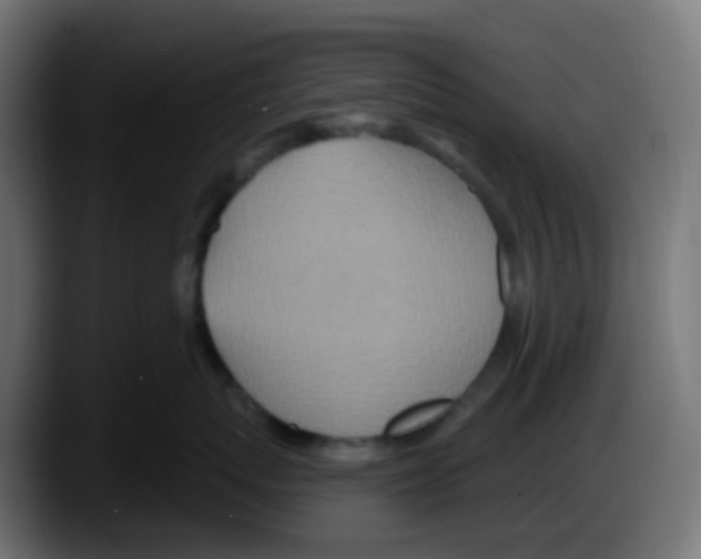 X0000087570767200705251820