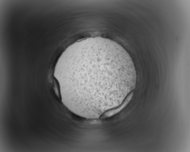 X0000087570768200705251820