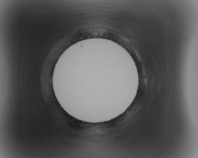 X0000087570769200705251819