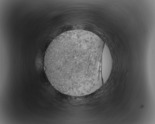 X0000087570772200705251819