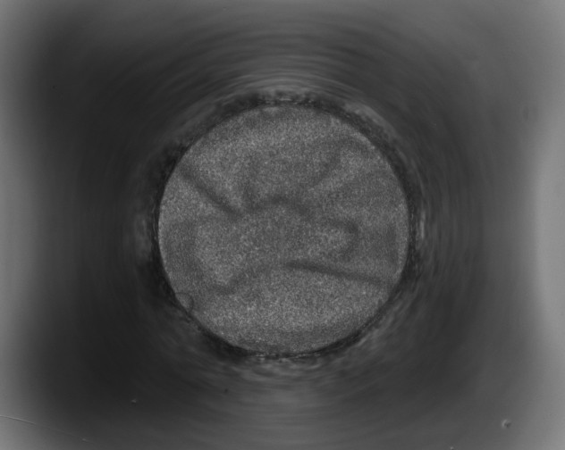 X0000087570774200705251819